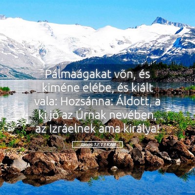 Picture 05 - János 12:13 KAR - Pálmaágakat võn, és kiméne elébe, és - Bible Verse Picture