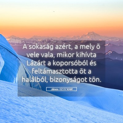 Picture 05 - János 12:17 KAR - A sokaság azért, a mely õ vele vala, mikor - Bible Verse Picture