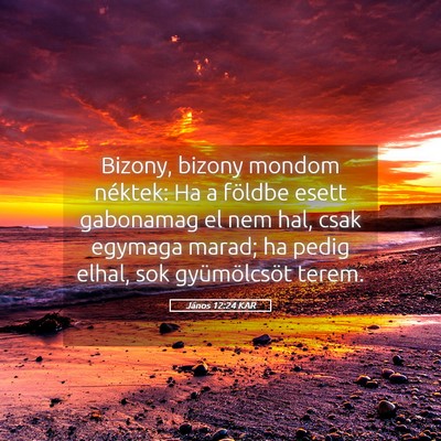 Picture 05 - János 12:24 KAR - Bizony, bizony mondom néktek: Ha a földbe esett - Bible Verse Picture