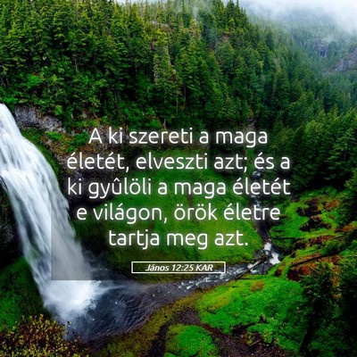 Picture 05 - János 12:25 KAR - A ki szereti a maga életét, elveszti azt; és a - Bible Verse Picture