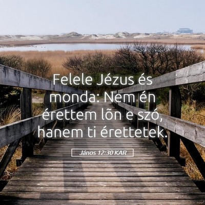 Picture 05 - János 12:30 KAR - Felele Jézus és monda: Nem én érettem lõn e - Bible Verse Picture