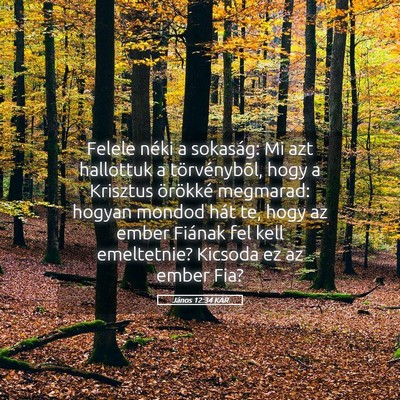 Picture 05 - János 12:34 KAR - Felele néki a sokaság: Mi azt hallottuk a - Bible Verse Picture