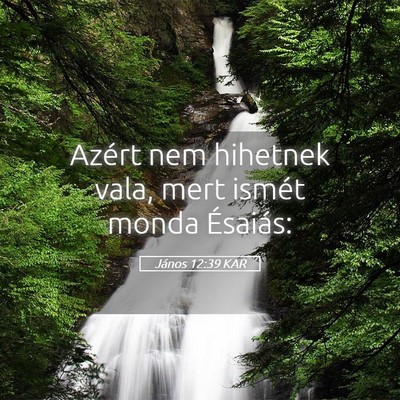Picture 05 - János 12:39 KAR - Azért nem hihetnek vala, mert ismét monda - Bible Verse Picture