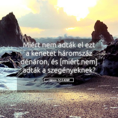 Picture 05 - János 12:5 KAR - Miért nem adták el ezt a kenetet háromszáz - Bible Verse Picture