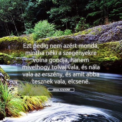 Picture 05 - János 12:6 KAR - Ezt pedig nem azért mondá, mintha néki a - Bible Verse Picture