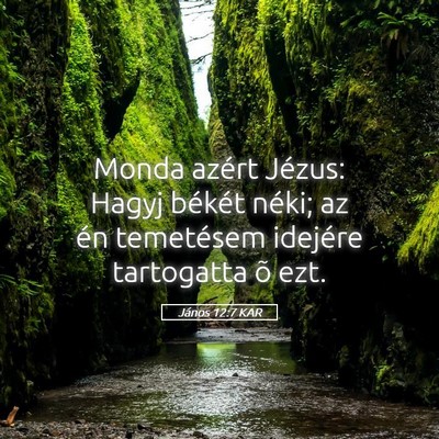 Picture 05 - János 12:7 KAR - Monda azért Jézus: Hagyj békét néki; az én - Bible Verse Picture