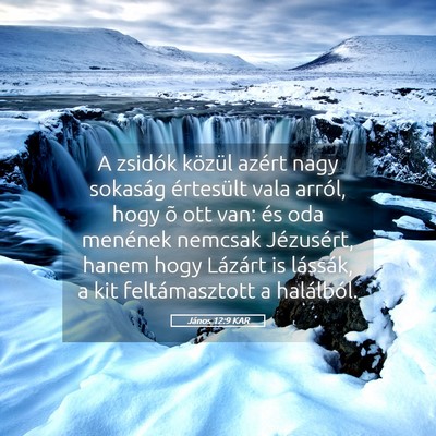 Picture 05 - János 12:9 KAR - A zsidók közül azért nagy sokaság értesült - Bible Verse Picture