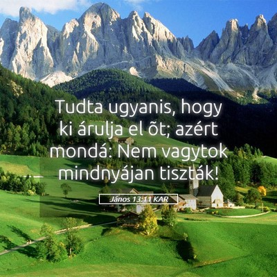 Picture 05 - János 13:11 KAR - Tudta ugyanis, hogy ki árulja el õt; azért - Bible Verse Picture