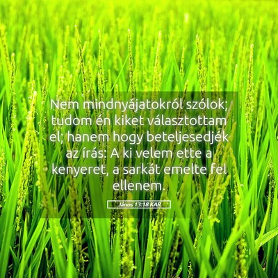 Picture 05 - János 13:18 KAR - Nem mindnyájatokról szólok; tudom én kiket - Bible Verse Picture
