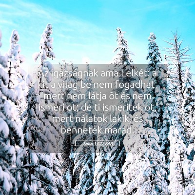 Picture 05 - János 14:17 KAR - Az igazságnak ama Lelkét: a kit a világ be nem - Bible Verse Picture