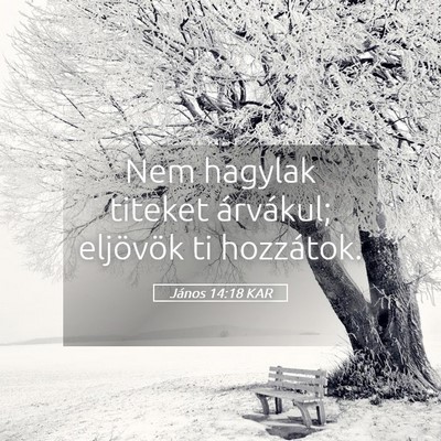 Picture 05 - János 14:18 KAR - Nem hagylak titeket árvákul; eljövök ti - Bible Verse Picture