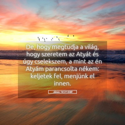 Picture 05 - János 14:31 KAR - De, hogy megtudja a világ, hogy szeretem az - Bible Verse Picture