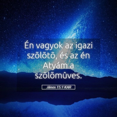 Picture 05 - János 15:1 KAR - Én vagyok az igazi szõlõtõ, és az én Atyám - Bible Verse Picture