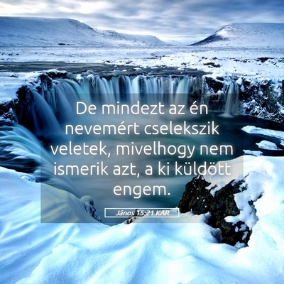 Picture 05 - János 15:21 KAR - De mindezt az én nevemért cselekszik veletek, - Bible Verse Picture