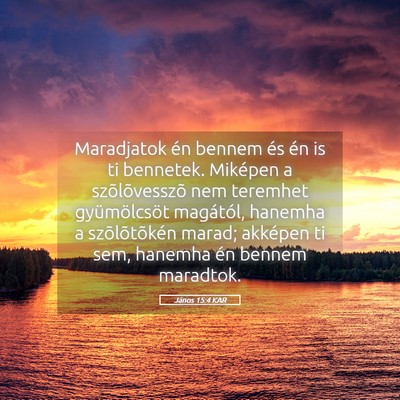 Picture 05 - János 15:4 KAR - Maradjatok én bennem és én is ti bennetek. - Bible Verse Picture