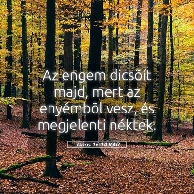 Picture 05 - János 16:14 KAR - Az engem dicsõít majd, mert az enyémbõl vesz, - Bible Verse Picture