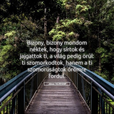Picture 05 - János 16:20 KAR - Bizony, bizony mondom néktek, hogy sírtok és - Bible Verse Picture