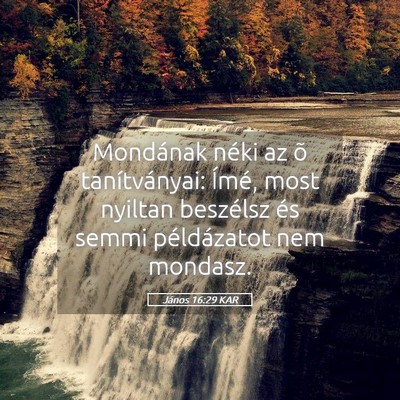 Picture 05 - János 16:29 KAR - Mondának néki az õ tanítványai: Ímé, most - Bible Verse Picture