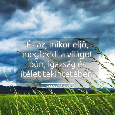 Picture 05 - János 16:8 KAR - És az, mikor eljõ, megfeddi a világot bûn, - Bible Verse Picture