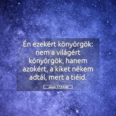 Picture 05 - János 17:9 KAR - Én ezekért könyörgök: nem a világért - Bible Verse Picture