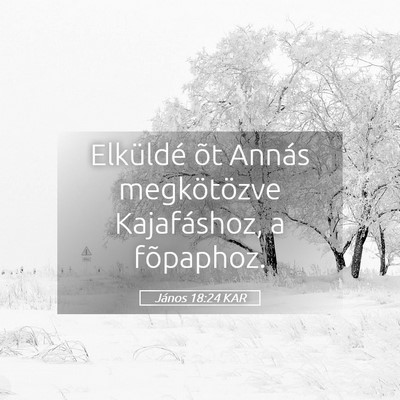 Picture 05 - János 18:24 KAR - Elküldé õt Annás megkötözve Kajafáshoz, a - Bible Verse Picture
