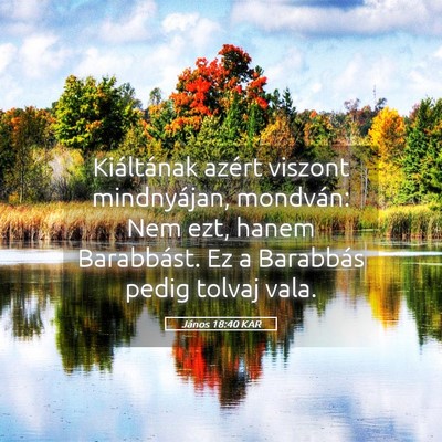 Picture 05 - János 18:40 KAR - Kiáltának azért viszont mindnyájan, mondván: - Bible Verse Picture