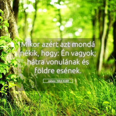 Picture 05 - János 18:6 KAR - Mikor azért azt mondá nékik, hogy: Én vagyok; - Bible Verse Picture