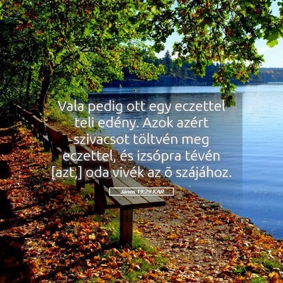 Picture 05 - János 19:29 KAR - Vala pedig ott egy eczettel teli edény. Azok - Bible Verse Picture
