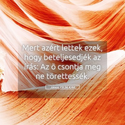 Picture 05 - János 19:36 KAR - Mert azért lettek ezek, hogy beteljesedjék az - Bible Verse Picture