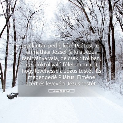 Picture 05 - János 19:38 KAR - Ezek után pedig kéré Pilátust az arimathiai - Bible Verse Picture