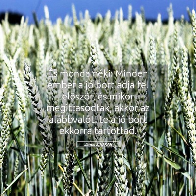 Picture 05 - János 2:10 KAR - És monda néki: Minden ember a jó bort adja fel - Bible Verse Picture