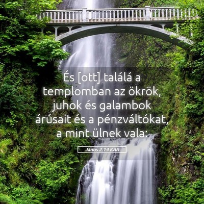 Picture 05 - János 2:14 KAR - És [ott] találá a templomban az ökrök, juhok - Bible Verse Picture