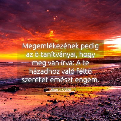 Picture 05 - János 2:17 KAR - Megemlékezének pedig az õ tanítványai, hogy - Bible Verse Picture