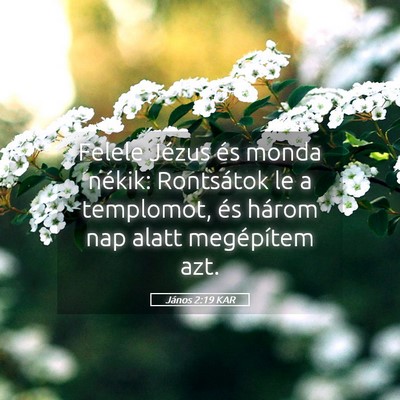 Picture 05 - János 2:19 KAR - Felele Jézus és monda nékik: Rontsátok le a - Bible Verse Picture