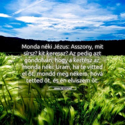 Picture 05 - János 20:15 KAR - Monda néki Jézus: Asszony, mit sírsz? kit - Bible Verse Picture