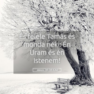 Picture 05 - János 20:28 KAR - És felele Tamás és monda néki: Én Uram és - Bible Verse Picture