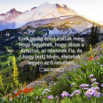 Picture 05 - János 20:31 KAR - Ezek pedig azért irattak meg, hogy higyjétek, - Bible Verse Picture
