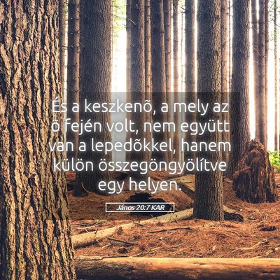 Picture 05 - János 20:7 KAR - És a keszkenõ, a mely az õ fején volt, nem - Bible Verse Picture