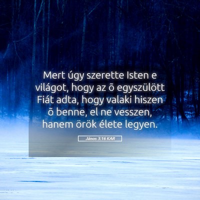 Picture 05 - János 3:16 KAR - Mert úgy szerette Isten e világot, hogy az õ - Bible Verse Picture