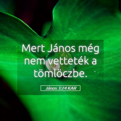 Picture 05 - János 3:24 KAR - Mert János még nem vetteték a - Bible Verse Picture