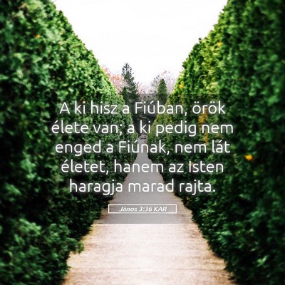 Picture 05 - János 3:36 KAR - A ki hisz a Fiúban, örök élete van; a ki - Bible Verse Picture