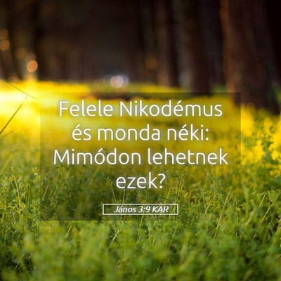 Picture 05 - János 3:9 KAR - Felele Nikodémus és monda néki: Mimódon - Bible Verse Picture