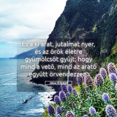 Picture 05 - János 4:36 KAR - És a ki arat, jutalmat nyer, és az örök - Bible Verse Picture