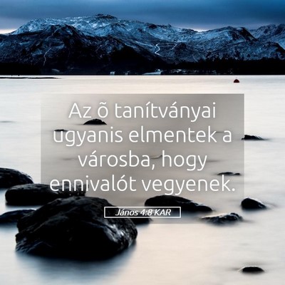 Picture 05 - János 4:8 KAR - Az õ tanítványai ugyanis elmentek a városba, - Bible Verse Picture