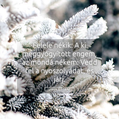 Picture 05 - János 5:11 KAR - Felele nékik: A ki meggyógyított engem, az - Bible Verse Picture