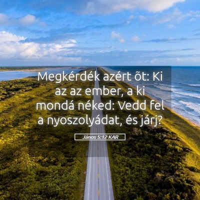 Picture 05 - János 5:12 KAR - Megkérdék azért õt: Ki az az ember, a ki - Bible Verse Picture
