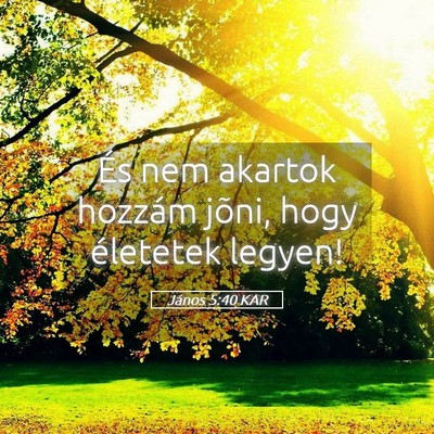 Picture 05 - János 5:40 KAR - És nem akartok hozzám jõni, hogy életetek - Bible Verse Picture