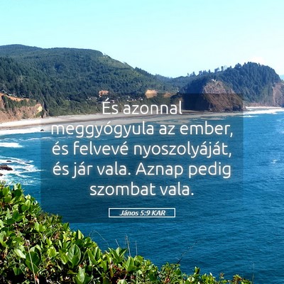 Picture 05 - János 5:9 KAR - És azonnal meggyógyula az ember, és felvevé - Bible Verse Picture