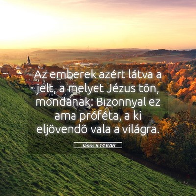 Picture 05 - János 6:14 KAR - Az emberek azért látva a jelt, a melyet Jézus - Bible Verse Picture