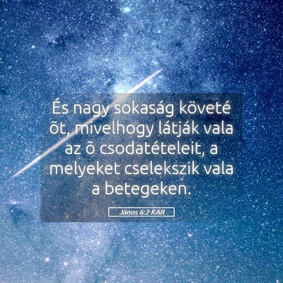 Picture 05 - János 6:2 KAR - És nagy sokaság követé õt, mivelhogy - Bible Verse Picture